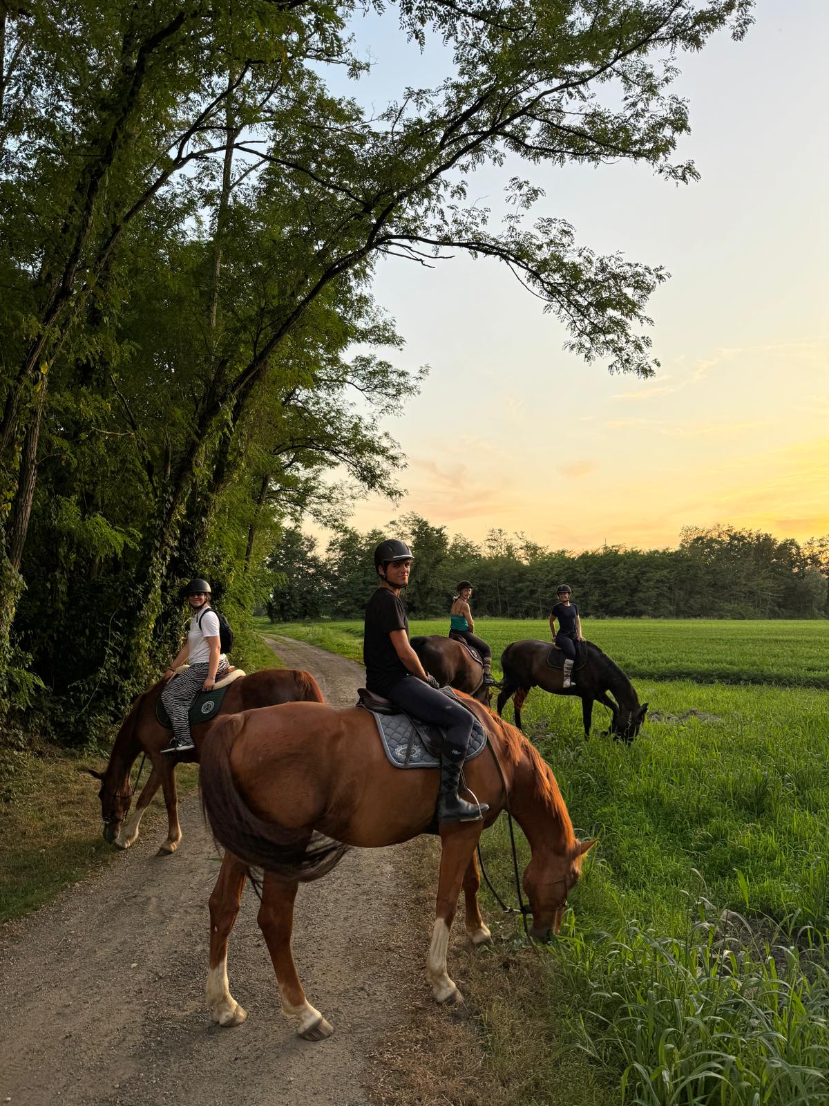 Cavaliers en balade sur un chemin au coucher du soleil